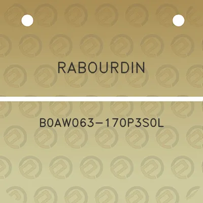 rabourdin-b0aw063-170p3s0l