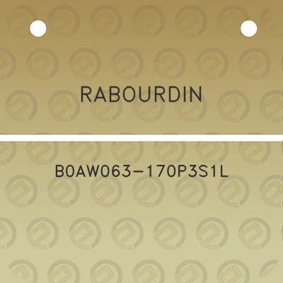 rabourdin-b0aw063-170p3s1l