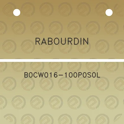 rabourdin-b0cw016-100p0s0l