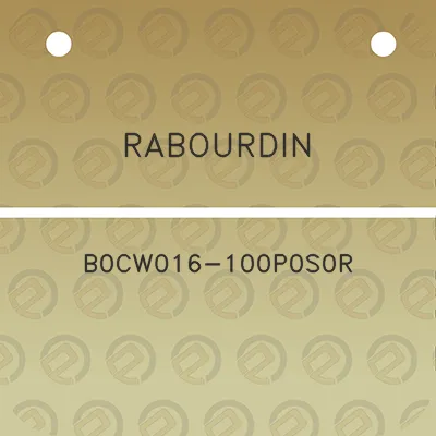 rabourdin-b0cw016-100p0s0r