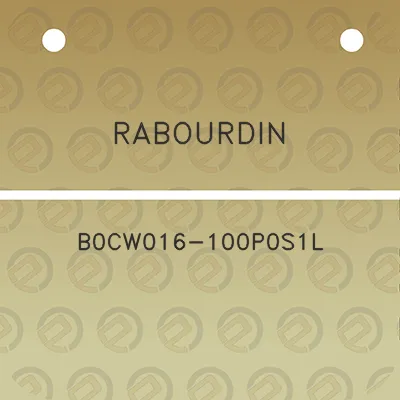 rabourdin-b0cw016-100p0s1l