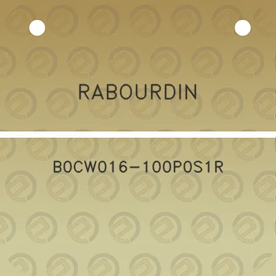 rabourdin-b0cw016-100p0s1r