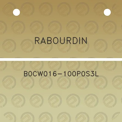 rabourdin-b0cw016-100p0s3l