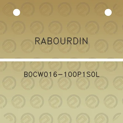 rabourdin-b0cw016-100p1s0l