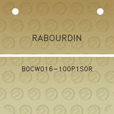 rabourdin-b0cw016-100p1s0r