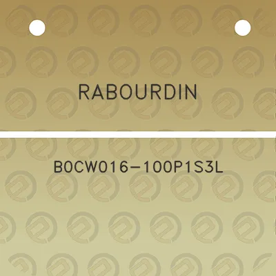 rabourdin-b0cw016-100p1s3l