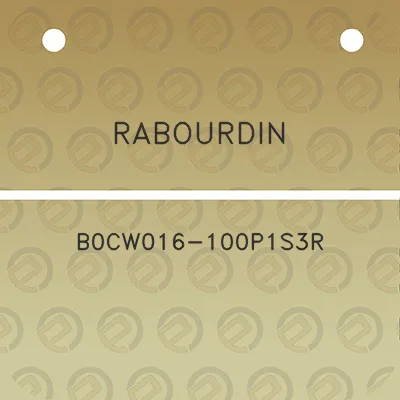 rabourdin-b0cw016-100p1s3r