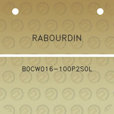 rabourdin-b0cw016-100p2s0l