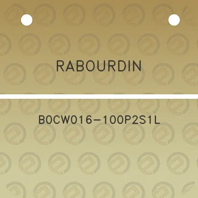 rabourdin-b0cw016-100p2s1l