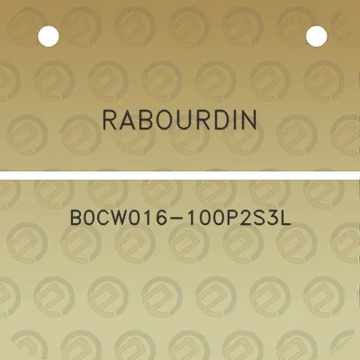 rabourdin-b0cw016-100p2s3l