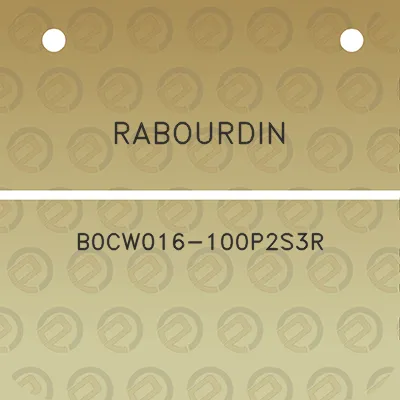 rabourdin-b0cw016-100p2s3r