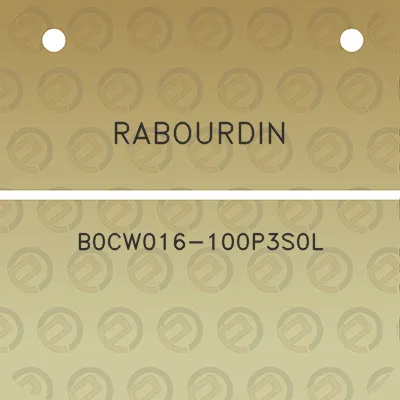 rabourdin-b0cw016-100p3s0l