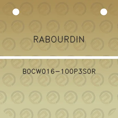 rabourdin-b0cw016-100p3s0r