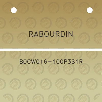 rabourdin-b0cw016-100p3s1r