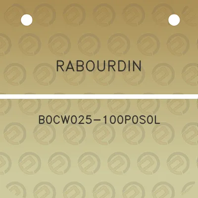 rabourdin-b0cw025-100p0s0l