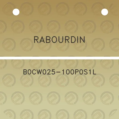 rabourdin-b0cw025-100p0s1l