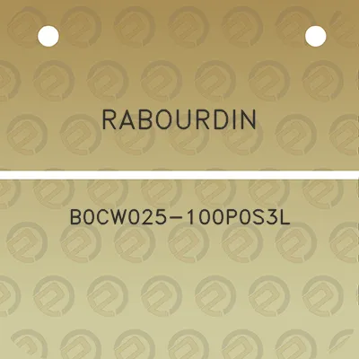 rabourdin-b0cw025-100p0s3l