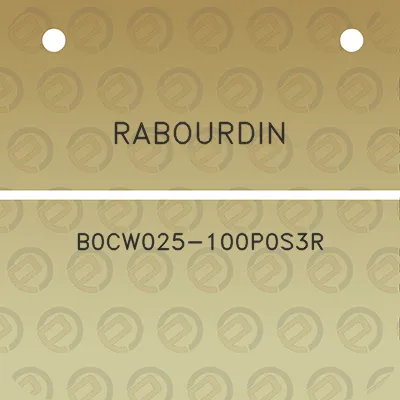 rabourdin-b0cw025-100p0s3r