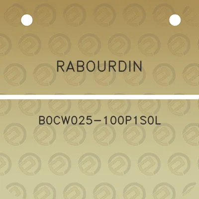 rabourdin-b0cw025-100p1s0l