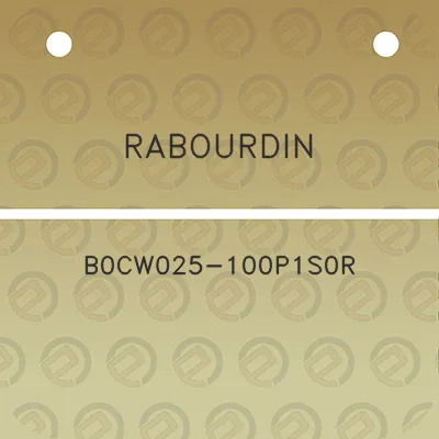 rabourdin-b0cw025-100p1s0r