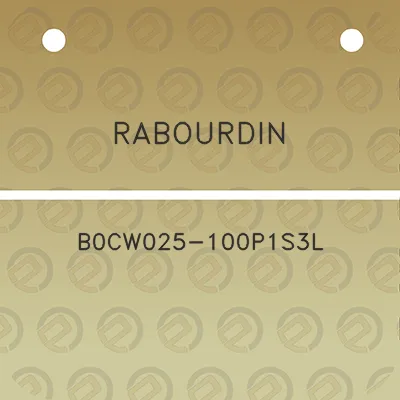 rabourdin-b0cw025-100p1s3l