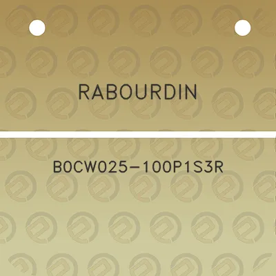 rabourdin-b0cw025-100p1s3r