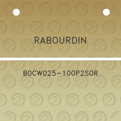 rabourdin-b0cw025-100p2s0r