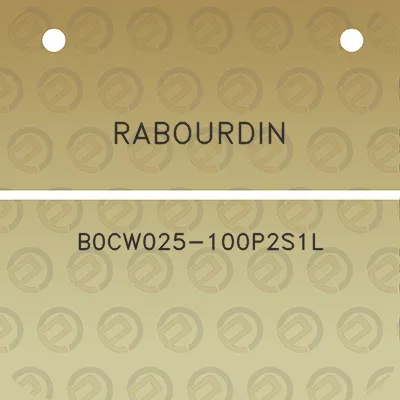 rabourdin-b0cw025-100p2s1l