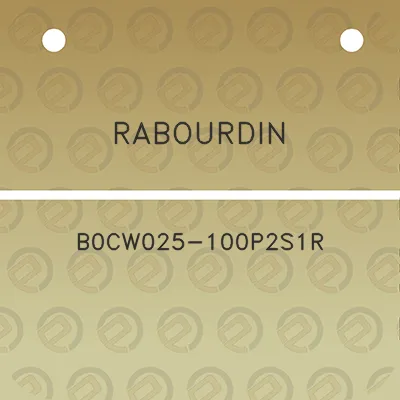 rabourdin-b0cw025-100p2s1r