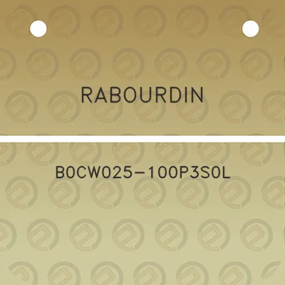 rabourdin-b0cw025-100p3s0l