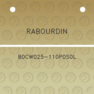 rabourdin-b0cw025-110p0s0l