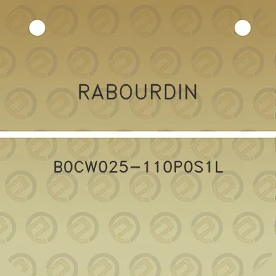 rabourdin-b0cw025-110p0s1l