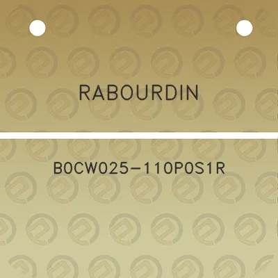 rabourdin-b0cw025-110p0s1r