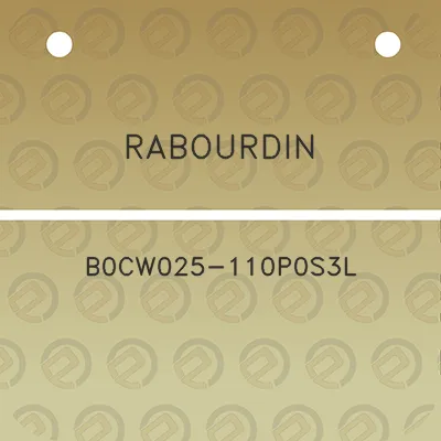 rabourdin-b0cw025-110p0s3l