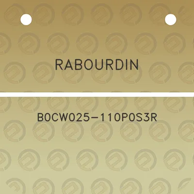 rabourdin-b0cw025-110p0s3r