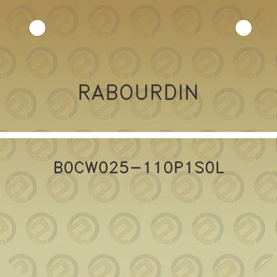 rabourdin-b0cw025-110p1s0l