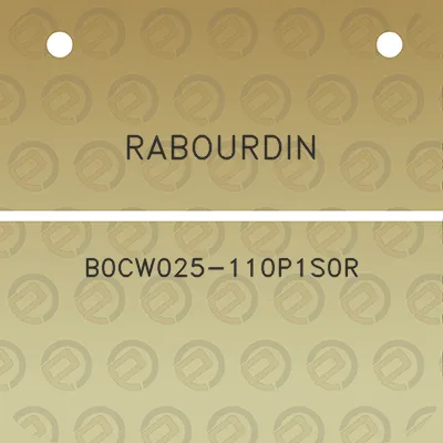 rabourdin-b0cw025-110p1s0r