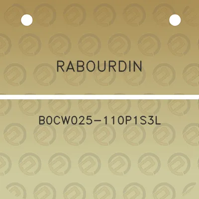 rabourdin-b0cw025-110p1s3l