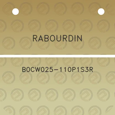 rabourdin-b0cw025-110p1s3r