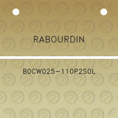 rabourdin-b0cw025-110p2s0l