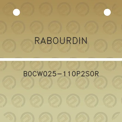 rabourdin-b0cw025-110p2s0r