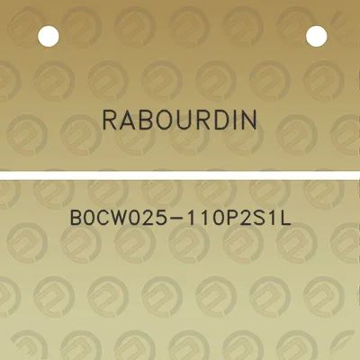 rabourdin-b0cw025-110p2s1l