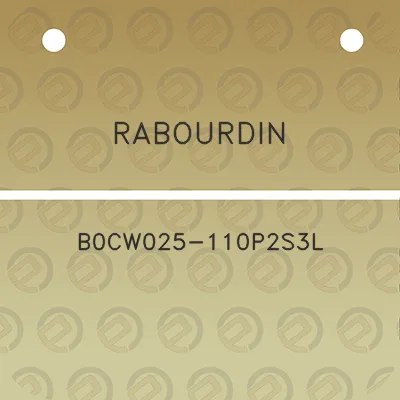 rabourdin-b0cw025-110p2s3l