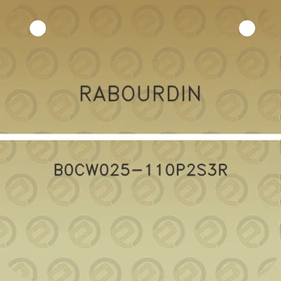 rabourdin-b0cw025-110p2s3r