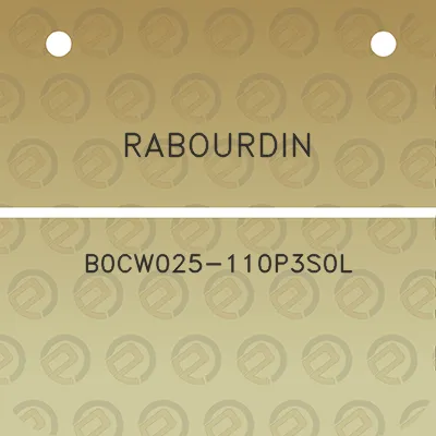 rabourdin-b0cw025-110p3s0l