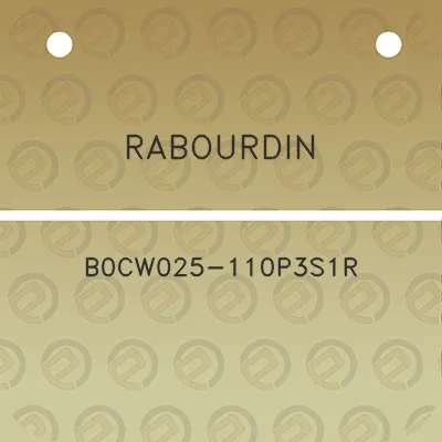 rabourdin-b0cw025-110p3s1r