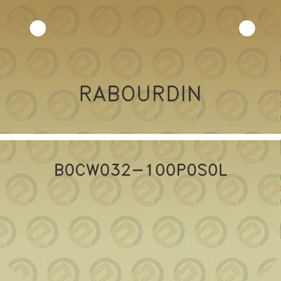 rabourdin-b0cw032-100p0s0l