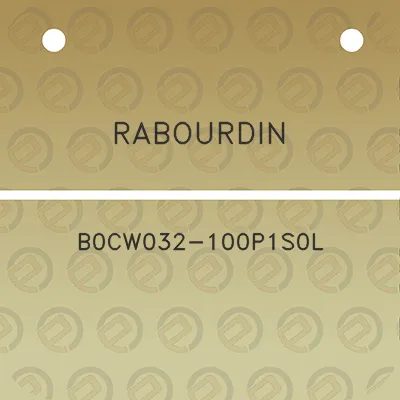 rabourdin-b0cw032-100p1s0l