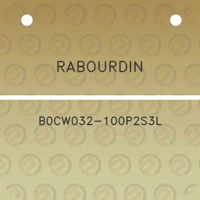 rabourdin-b0cw032-100p2s3l