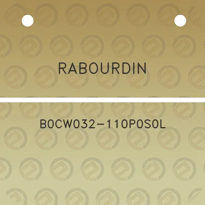 rabourdin-b0cw032-110p0s0l